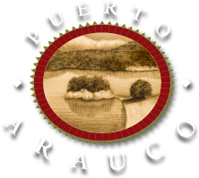 Logo de Cabañas Puerto Arauco