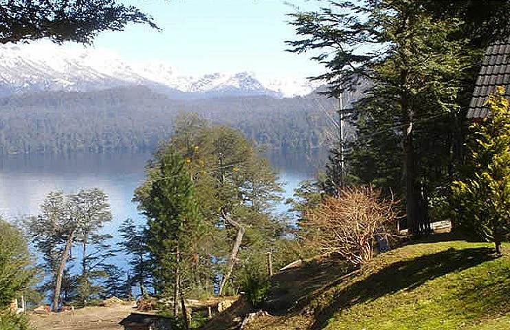 Paisaje Bandurrias