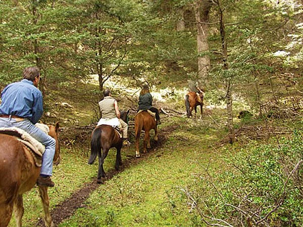 Cabalgatas