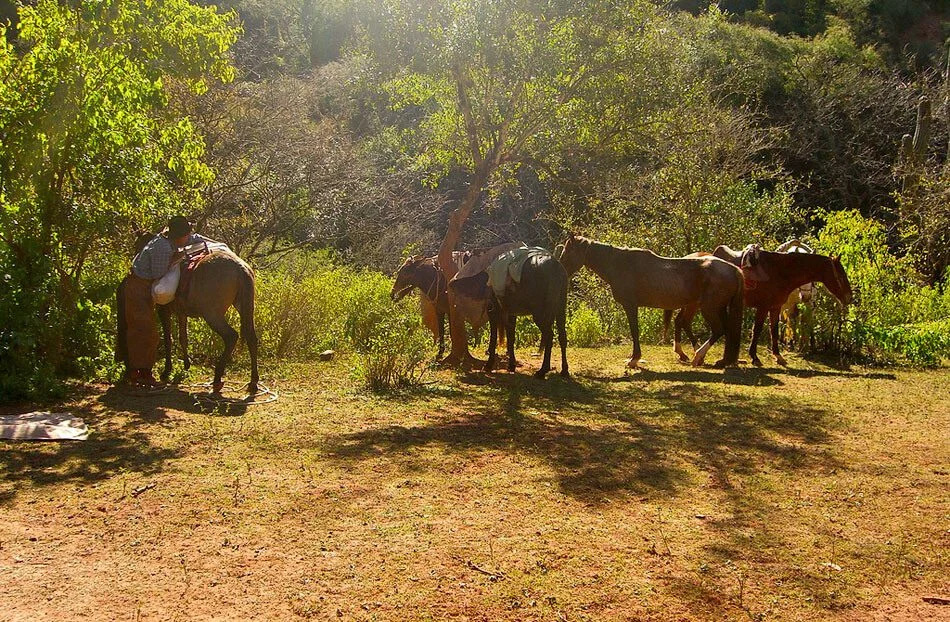 Cabalgatas