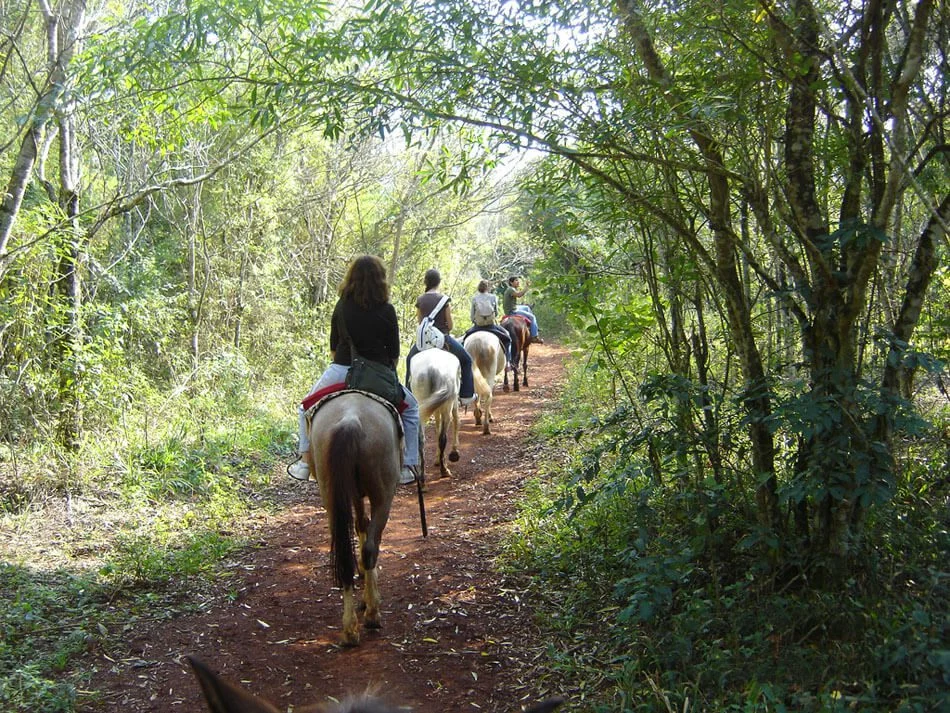 Cabalgatas
