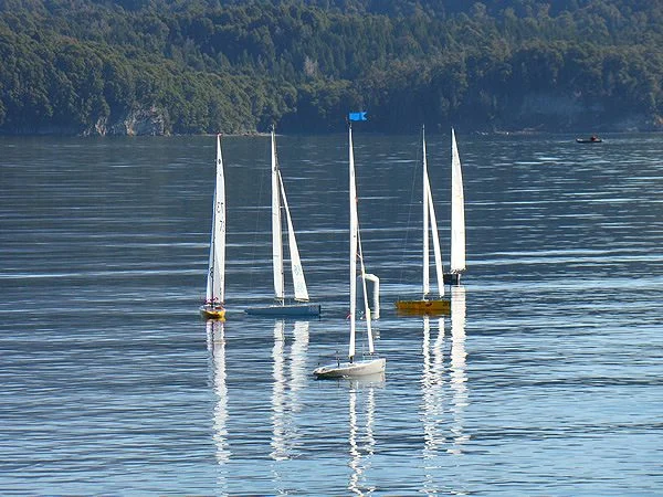 Paseos en Barco