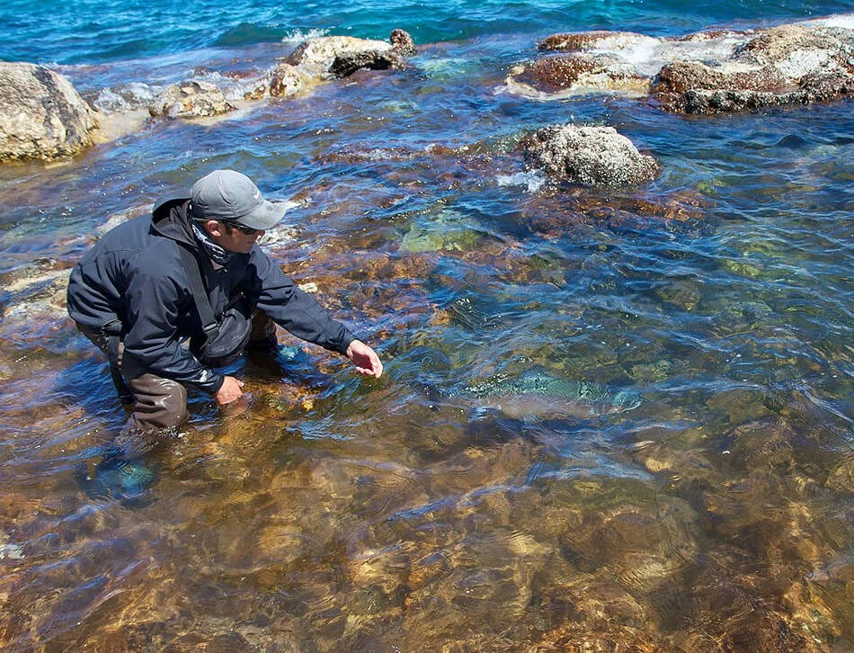Pesca – Fly Fishing