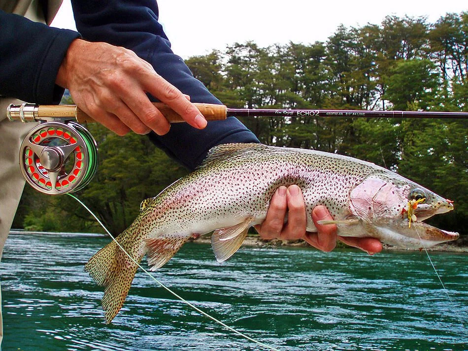 Pesca – Fly Fishing