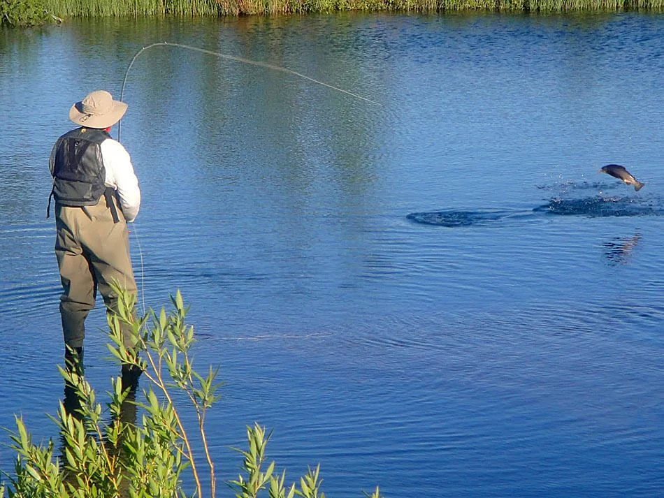 Pesca – Fly Fishing