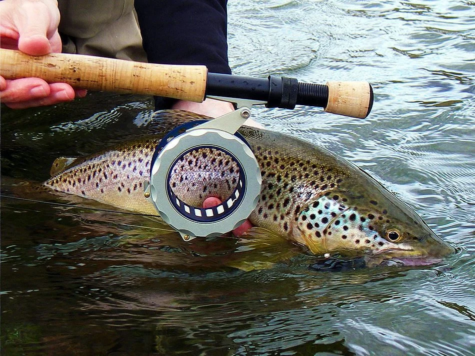Pesca – Fly Fishing