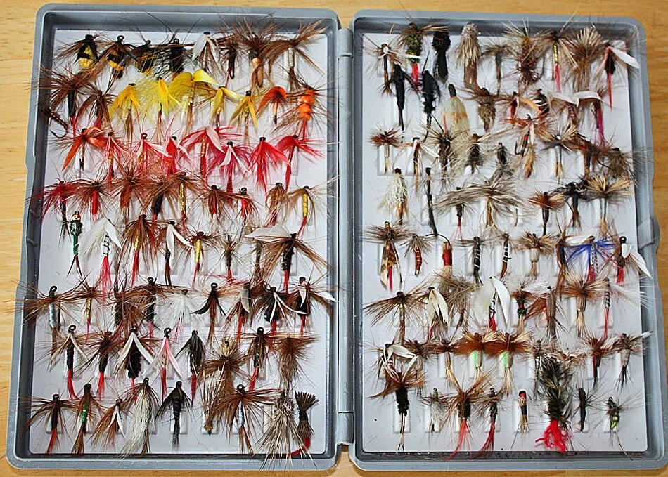 Pesca – Fly Fishing