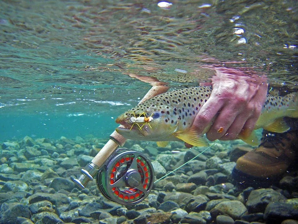 Pesca – Fly Fishing