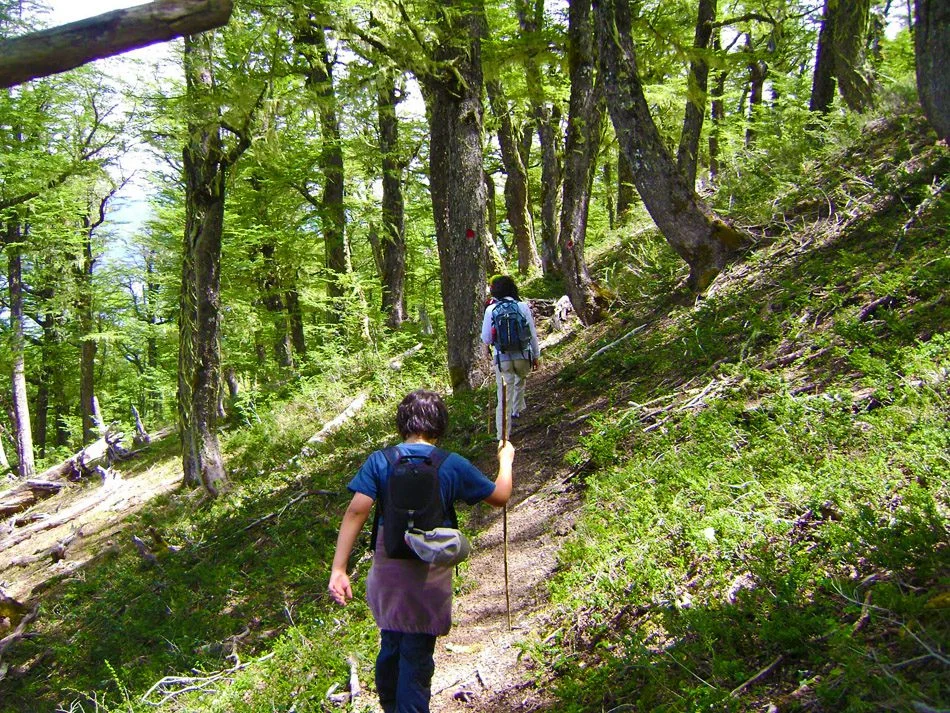 Trekking