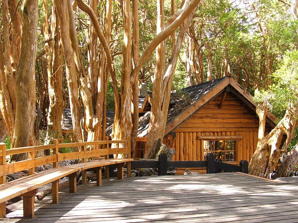 Bosque de Arrayanes