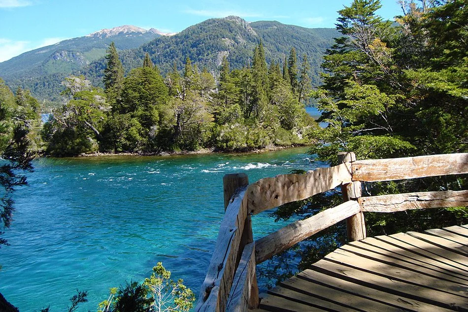 Bosque de Arrayanes