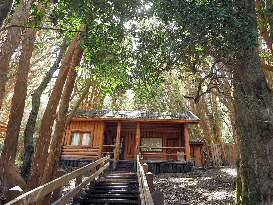 Bosque de Arrayanes