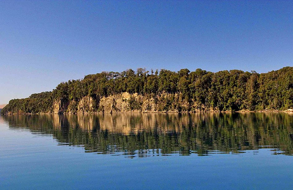 Bosque de Arrayanes