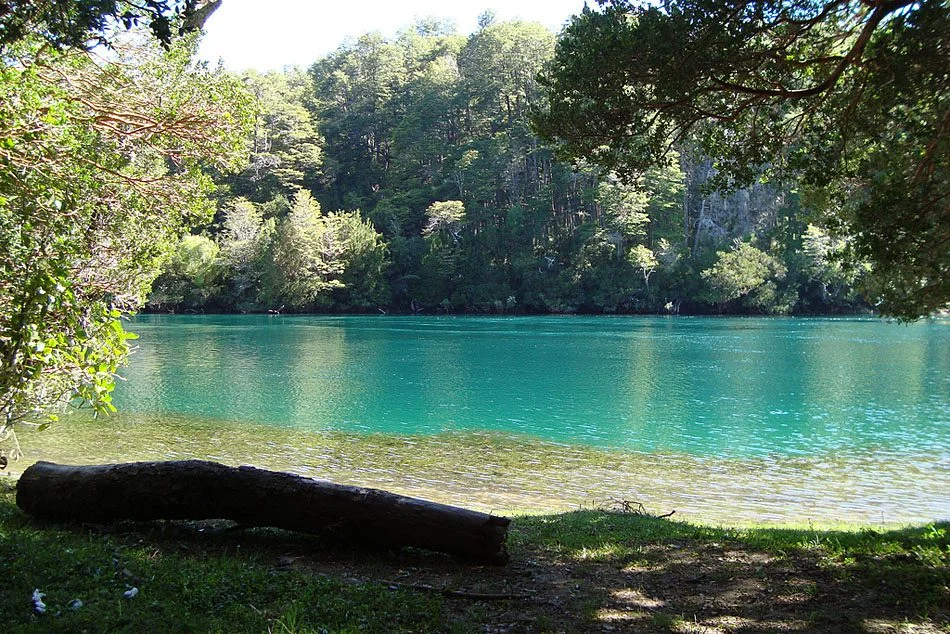 Bosque de Arrayanes