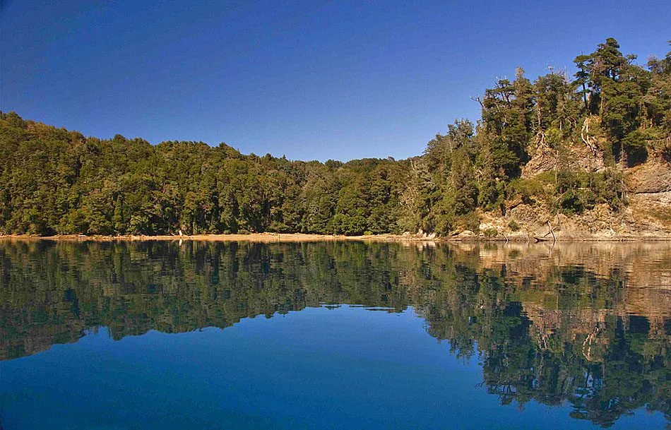 Bosque de Arrayanes