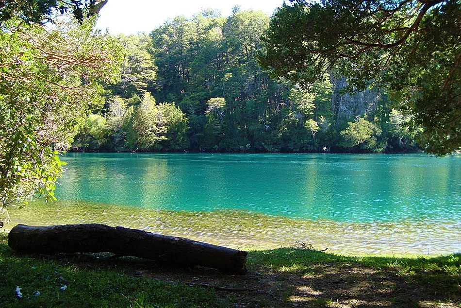 Bosque de Arrayanes