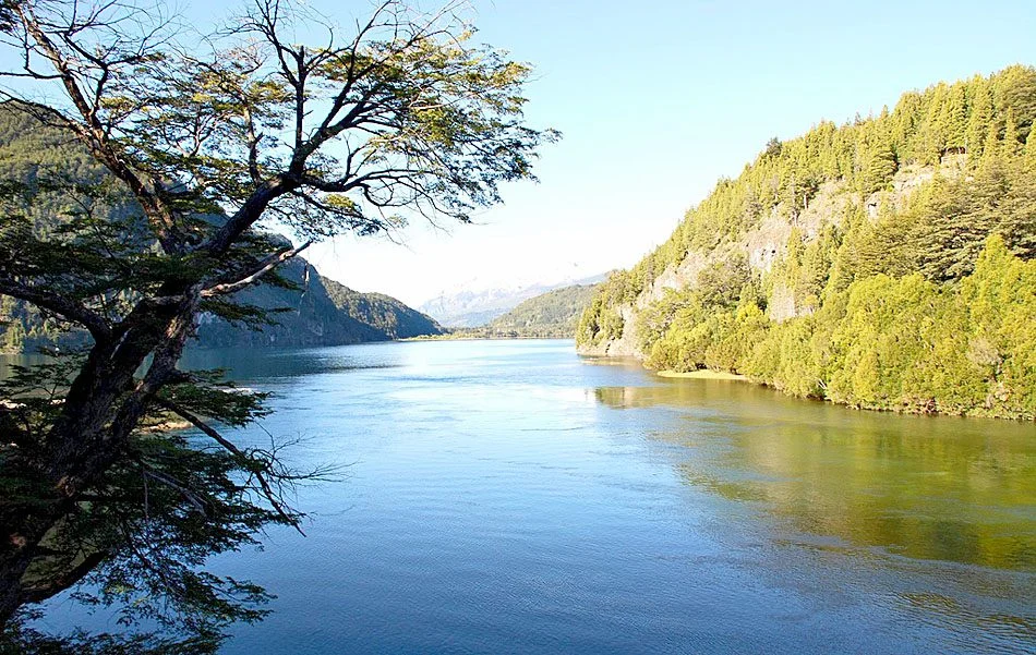 Bosque de Arrayanes