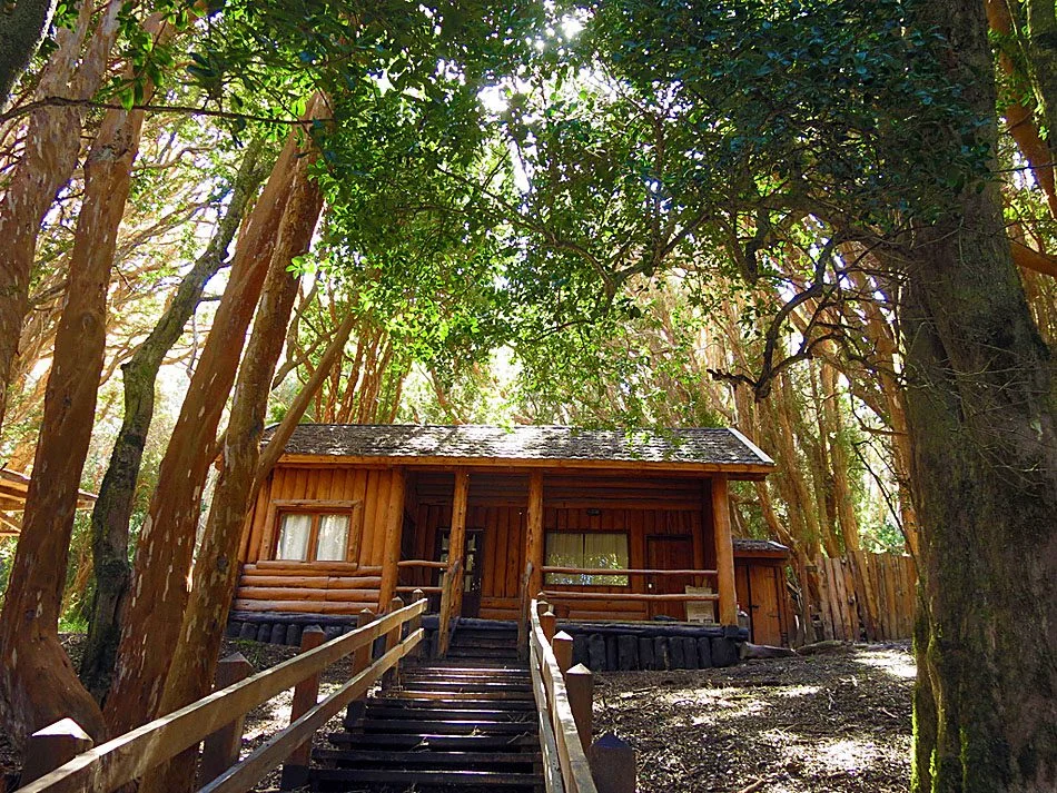 Bosque de Arrayanes