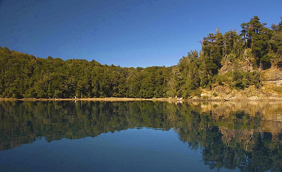 Bosque de Arrayanes