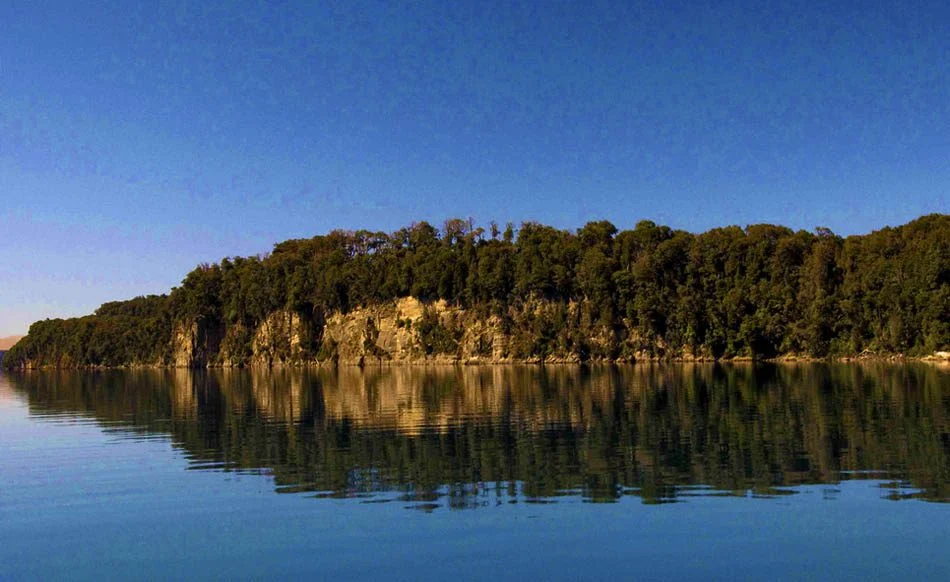 Bosque de Arrayanes