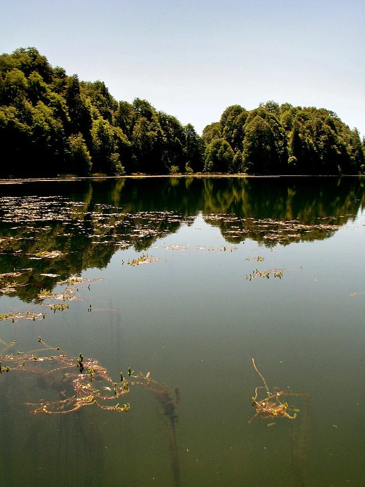 Laguna Verde – Selva Triste