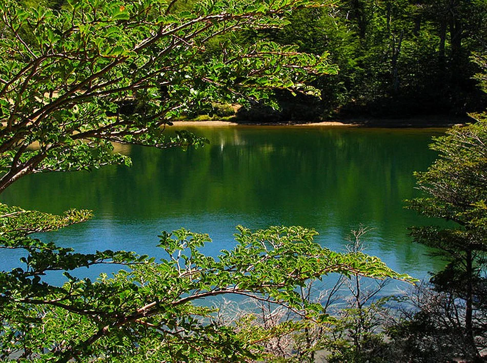Laguna Verde – Selva Triste