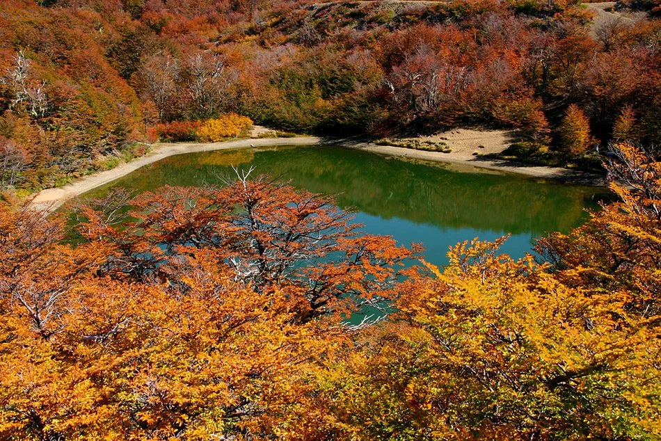 Laguna Verde – Selva Triste
