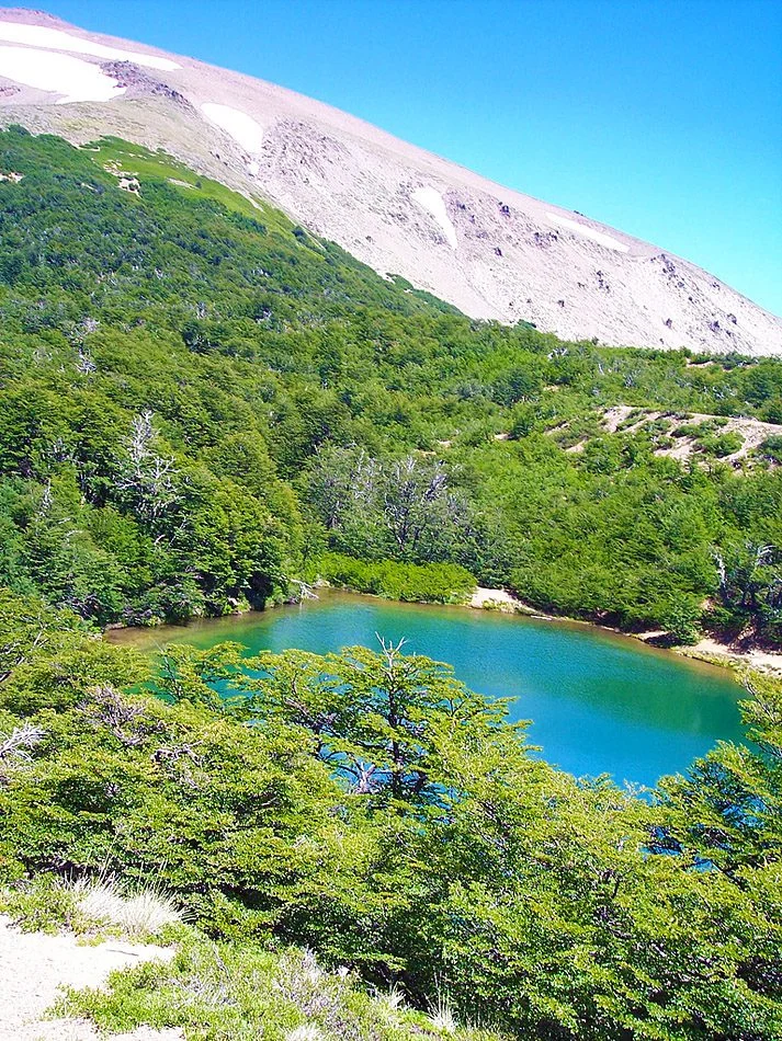 Laguna Verde – Selva Triste