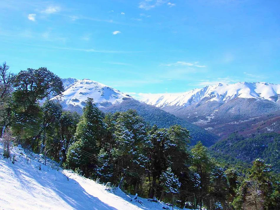 Cerro Bayo