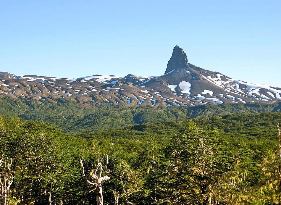 Paso Internacional Cardenal Samoré