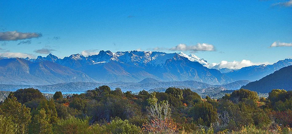 Paso Internacional Cardenal Samoré